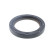 Oil seal, secondary housing, Thumbnail 2