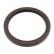 Shaft Oil Seal 100661 FEBI