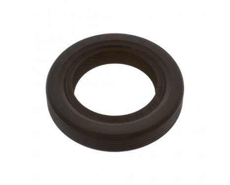 Shaft Seal, manual transmission 43420 FEBI