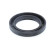 Shaft Seal, manual transmission, Thumbnail 2
