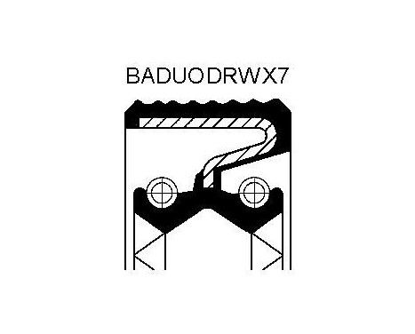 Shaft Seal, transfer case