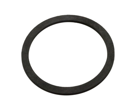 Seal Ring, expansion tank cap 103744 FEBI