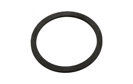 Seal Ring, expansion tank cap 103744 FEBI