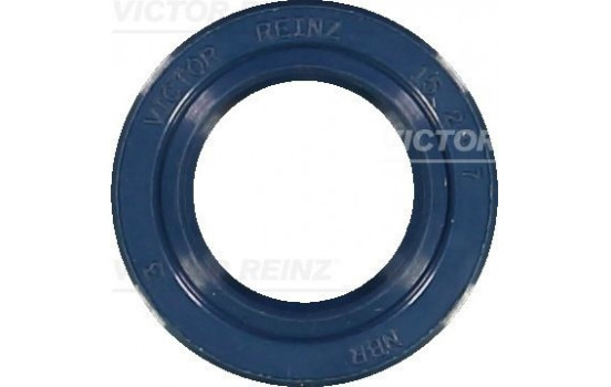 Sealed Ring, gearshift linkage 81-15293-10 Viktor Reinz