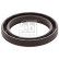 Shaft Seal, camshaft 26372 FEBI, Thumbnail 2