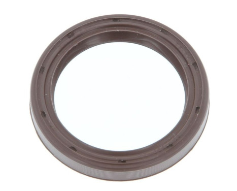 Shaft Seal, countershaft