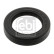 Shaft Seal, crankshaft 03598 FEBI, Thumbnail 2