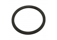 Seal Ring, expansion tank cap 103744 FEBI