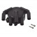 Distributor Cap