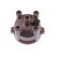 Distributor Cap