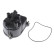 Distributor Cap