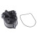 Distributor Cap