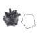 Distributor Cap