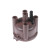 Distributor Cap