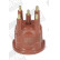 Distributor Cap