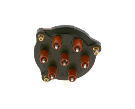 Distributor Cap