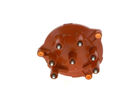 Distributor Cap