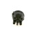 Distributor Cap