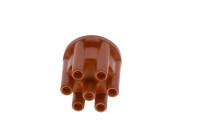 Distributor Cap