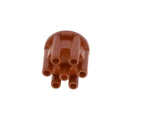 Distributor Cap