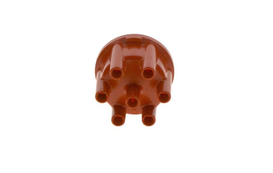 Distributor Cap
