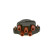 Distributor Cap