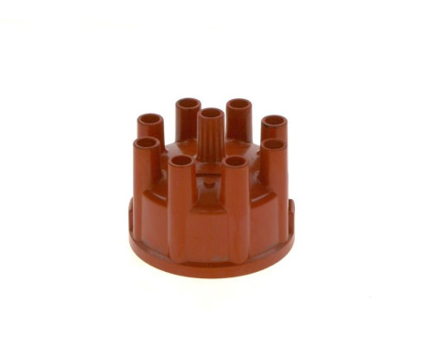Distributor Cap