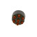 Distributor Cap
