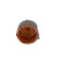 Distributor Cap, Thumbnail 3