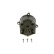 Distributor Cap