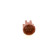 Distributor cap, Thumbnail 3