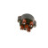 Distributor Cap, Thumbnail 5