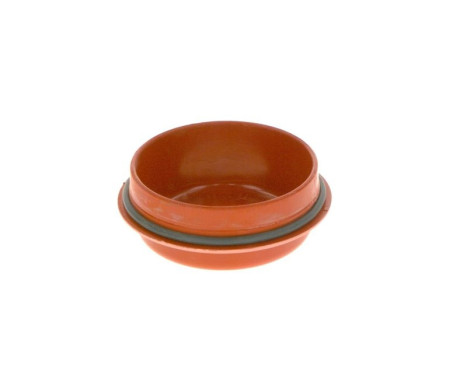 Dust Cover, distributor