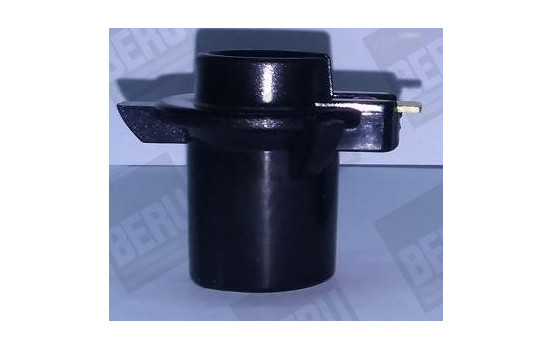 Rotor, distributor