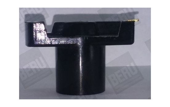 Rotor, distributor