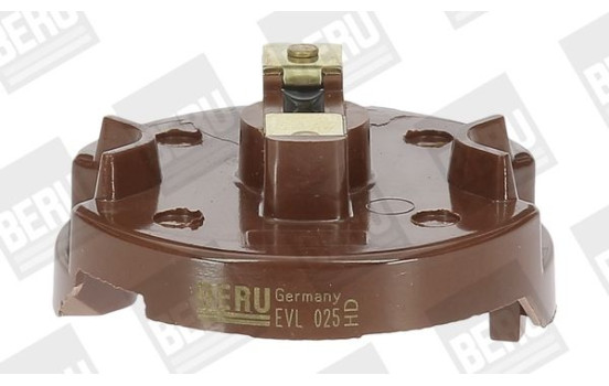Rotor, distributor