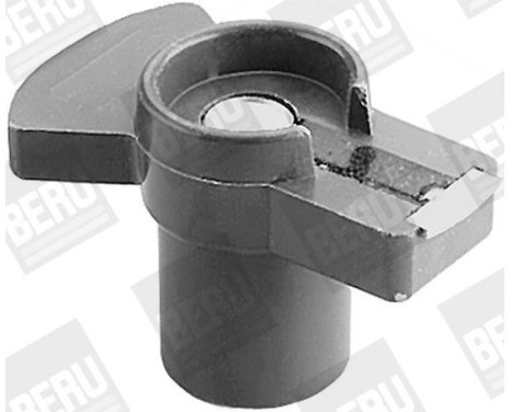 Rotor, distributor