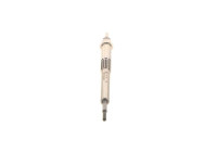 Glow Plug Duraterm