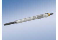 Glow Plug Duraterm