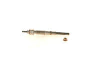 Glow Plug