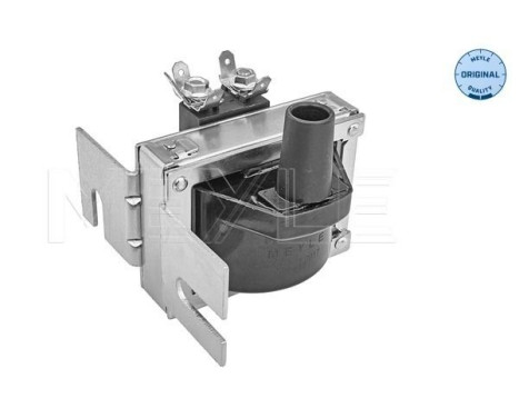 Coil 100 885 0017 Meyle