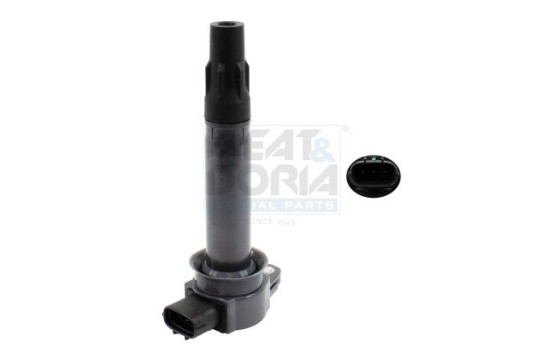 Coil 10929 Meat & Doria