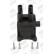 Coil ZS387 Borgwarner Beru