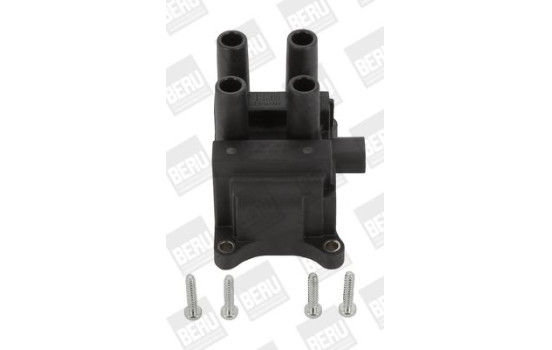 Coil ZS387 Borgwarner Beru