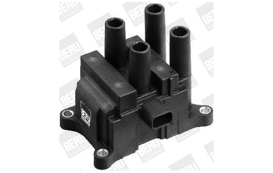 Coil ZS387 Borgwarner Beru, Image 2