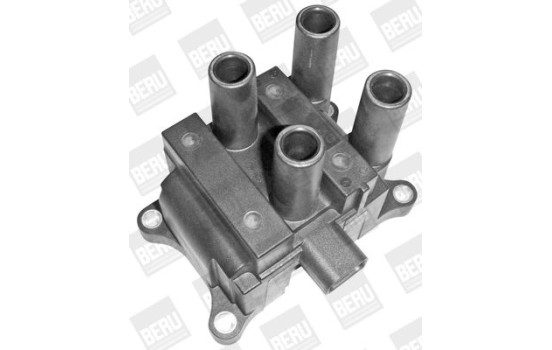 Coil ZS387 Borgwarner Beru, Image 5