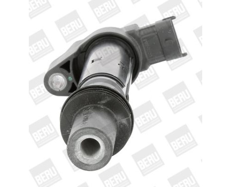 Coil ZS557 Borgwarner Beru, Image 2