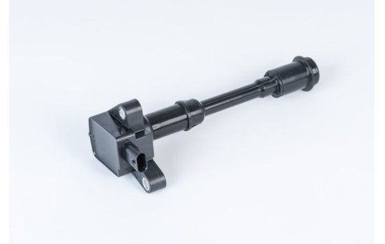 Coil ZSE203 Borgwarner Beru