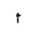 Ignition Coil 0 986 AG0 509 Bosch, Thumbnail 6
