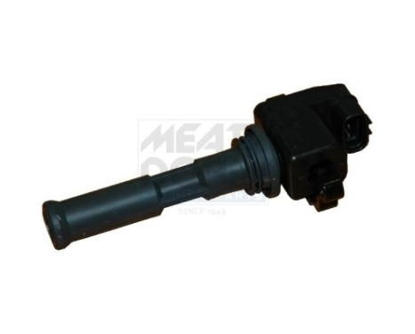 Ignition Coil 10334 Meat & Doria